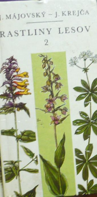 Rastliny lesov 2