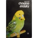 Chováme andulky