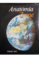 Anatómia Zeme