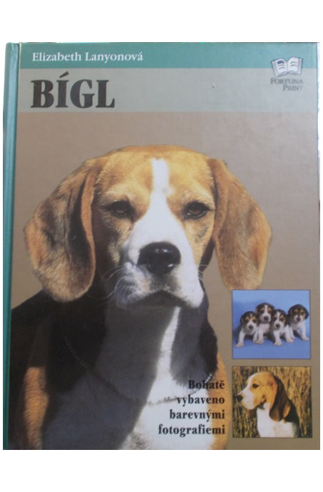 Bígl